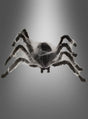 Eine 80 cm große Riesenspinne in Schwarz, die mit weißen Spinnweben drapiert ist, wird vor einem grauen Hintergrund präsentiert, wobei ihr Körper und ihre Beine durch Licht hervorgehoben werden – damit eignet sie sich ideal als Halloween-Dekoration oder als animierter Riesenspinnen-Tischschmuck.