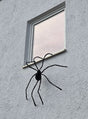 An der Außenwand unterhalb eines Fensters eines grauen Gebäudes ist eine schwarze Riesenspinne (150 cm) mit LED-Augen angebracht, die eine auffällige Halloween-Spinnendekoration bildet.