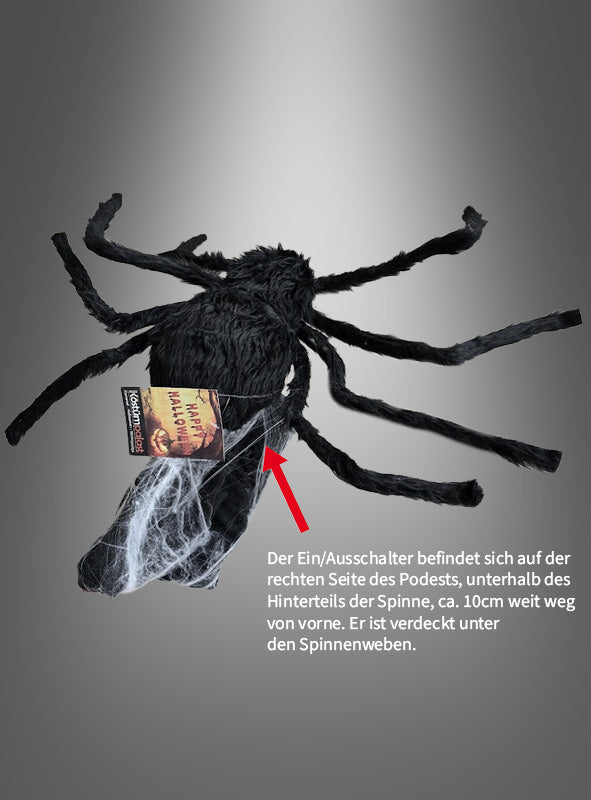 Eine „Springende Spinne 70 x 50 cm, animiert“ in Schwarz mit pelziger Textur, ideal als Halloween-Dekoration, verfügt über einen Schalter auf der rechten Seite unterhalb des Hinterteils – etwa 10 cm von der Vorderseite entfernt und teilweise von Spinnweben verdeckt.