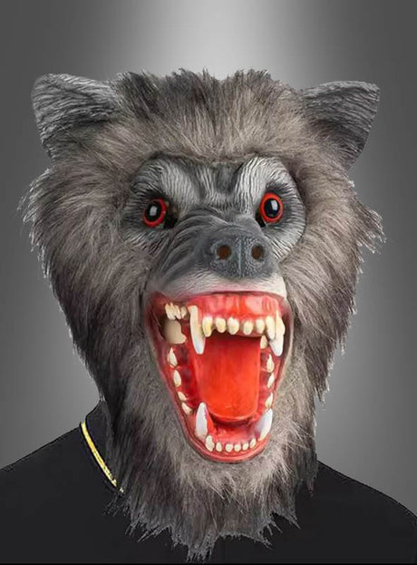 Eine Person, die die „Deluxe Werwolf-Maske“ trägt – mit realistisch wirkendem grauen Fell, roten Augen und einem offenen Maul mit scharfen Zähnen, die jedes Werwolf-Kostüm perfekt abrundet –, posiert vor einem grau verlaufenden Hintergrund.