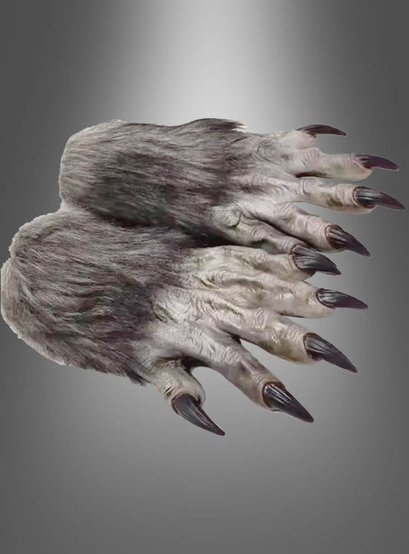Vor einem neutralen Farbverlaufshintergrund sind zwei graue, pelzige Hände mit langen, dunklen Krallen zu sehen – perfekt, um dein Halloween-Kostüm mit den hochwertigen Werwolf-Krallen-Handschuhen zu vervollständigen, die für realistische Werwolfhände oder furchterregende Krallen sorgen.
