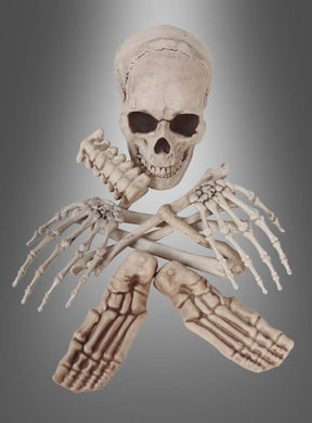 Der Schädel eines menschlichen Skeletts, gekreuzte Armknochen und gekreuzte Fußknochen, angeordnet vor einem grauen Farbverlaufshintergrund, sorgen bei „Menschliche Skelettknochen mit Schädel“ für einen eindrucksvollen Anblick – ideal als auffällige Totenschädel-Dekoration für die Halloween-Tischdekoration oder zur Präsentation authentisch nachgebildeter menschlicher Knochen.