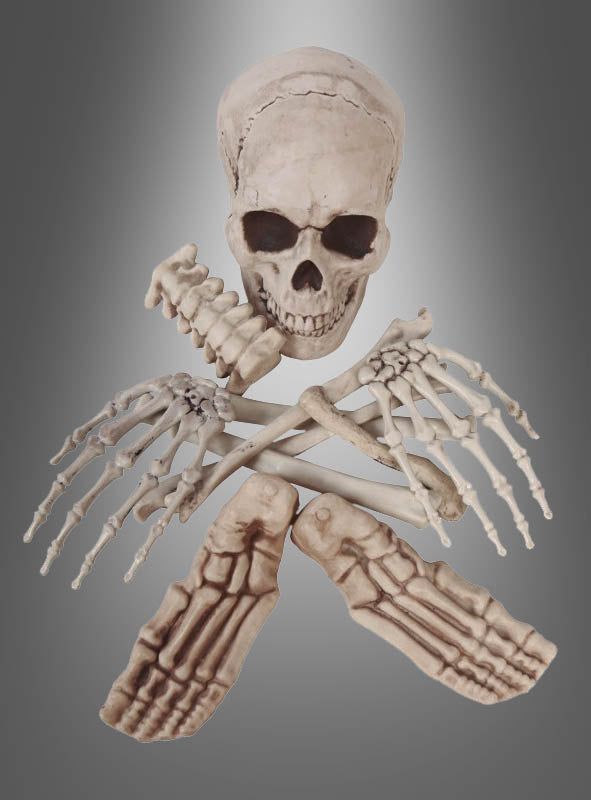 Der Schädel eines menschlichen Skeletts, gekreuzte Armknochen und gekreuzte Fußknochen, angeordnet vor einem grauen Farbverlaufshintergrund, sorgen bei „Menschliche Skelettknochen mit Schädel“ für einen eindrucksvollen Anblick – ideal als auffällige Totenschädel-Dekoration für die Halloween-Tischdekoration oder zur Präsentation authentisch nachgebildeter menschlicher Knochen.