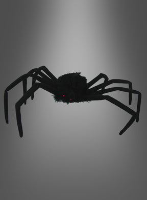 Eine schwarze, flauschige „Schwarze Spinne“ (50 cm) mit langen Beinen und kleinen roten Augen hebt sich deutlich von einem grauen Hintergrund mit Farbverlauf ab – diese Riesenspinne ist die perfekte Halloween-Dekoration, um Ihrem Raum eine gruselige Note zu verleihen.