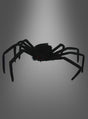 Eine schwarze, flauschige „Schwarze Spinne“ (50 cm) mit langen Beinen und kleinen roten Augen hebt sich deutlich von einem grauen Hintergrund mit Farbverlauf ab – diese Riesenspinne ist die perfekte Halloween-Dekoration, um Ihrem Raum eine gruselige Note zu verleihen.