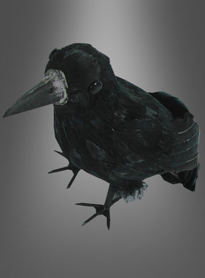 Eine Rabe-Halloween-Dekoration (30 cm) mit einer schwarzen Krähe mit glänzendem Gefieder ist vor einem grau verlaufenden Hintergrund abgebildet, wobei die Krähe leicht nach links blickt – perfekt für eine gotische Dekoration oder als auffälliger Halloween-Akzent.