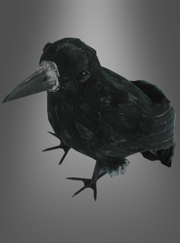 Eine Rabe-Halloween-Dekoration (30 cm) mit einer schwarzen Krähe mit glänzendem Gefieder ist vor einem grau verlaufenden Hintergrund abgebildet, wobei die Krähe leicht nach links blickt – perfekt für eine gotische Dekoration oder als auffälliger Halloween-Akzent.