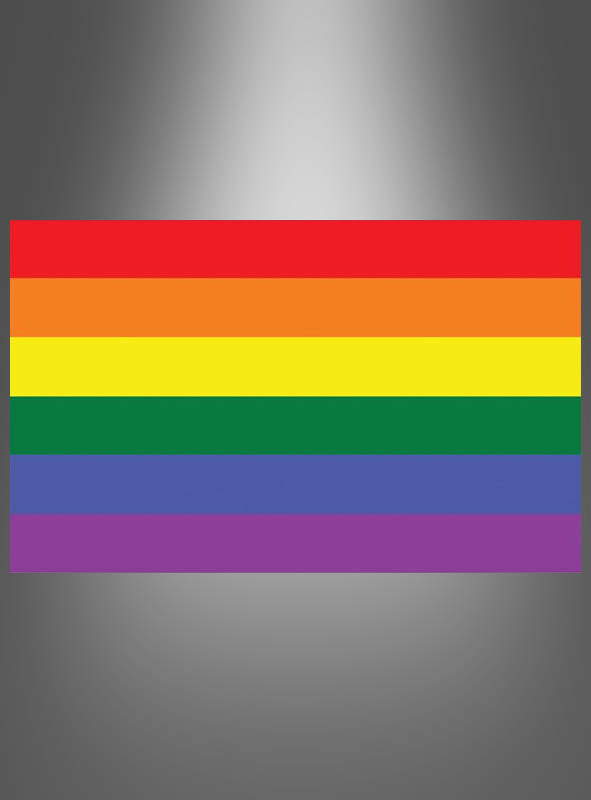 Eine rechteckige Flagge mit sechs horizontalen Streifen – rot, orange, gelb, grün, blau und violett – vor einem grauen Hintergrund mit Farbverlauf. Die „Große Regenbogenfahne“ im Format 90 × 150 cm ist ein ikonisches Symbol, das häufig bei Veranstaltungen zum Christopher Street Day zu sehen ist und stolz für den Gay Pride steht.