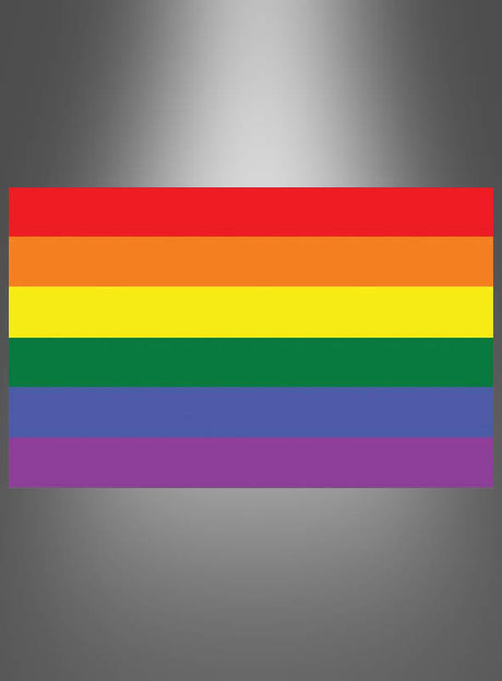Eine rechteckige Flagge mit sechs horizontalen Streifen – rot, orange, gelb, grün, blau und violett – vor einem grauen Hintergrund mit Farbverlauf. Die „Große Regenbogenfahne“ im Format 90 × 150 cm ist ein ikonisches Symbol, das häufig bei Veranstaltungen zum Christopher Street Day zu sehen ist und stolz für den Gay Pride steht.