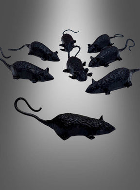 Acht der 8 kleinen Mäuse (7 cm) als Halloween-Dekoration sind in einer lockeren Kreisformation auf einem grau abgestuften Hintergrund angeordnet und bilden so eine auffällige Mäuse-Tischdekoration, die sich perfekt für Halloween-Feiern eignet. Diese Halloween-Accessoires eignen sich ideal als ungewöhnliches Mäuse-Gastgeschenk oder als Blickfang für deine gruselige Tischdekoration.