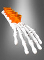 Ein weißer Skelettarm hält fünf orangefarbene Plastik-Schnapsgläser auf seinem Unterarm, vor einem grauen Hintergrund mit Farbverlauf – perfekt für jede Schnapsrunde oder lustige Trinkspiele auf deiner nächsten Party.