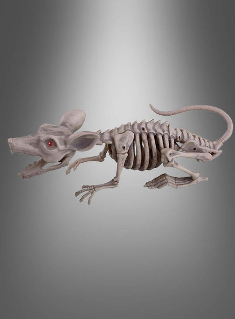 Plastikmodell der „Großen Ratte – Skelett“ (38 cm) mit LED-Augen, präsentiert vor einem grauen Hintergrund mit Farbverlauf – perfekt als gruselige Halloween-Dekoration.