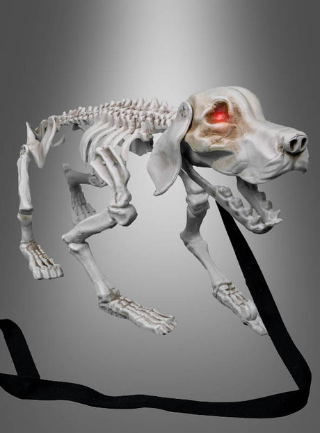 Ein „Bellendes Hunde Skelett 32 cm Halloween“ mit leuchtend roten Augen und offenem Maul ist an einer schwarzen Leine vor einem grauen Hintergrund abgebildet und eignet sich somit perfekt als Halloween-Dekoration.