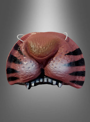 Tigernase – Kunststoffmaske in Form einer Tigernase und eines Tigermauls mit schwarzen Streifen, weißen Zähnen und Gummibändern; ideal für Wildkatzen-Kostüme oder als Accessoire für ein Dschungel-Tiger-Kostüm, abgebildet vor einem grauen Hintergrund mit Farbverlauf.