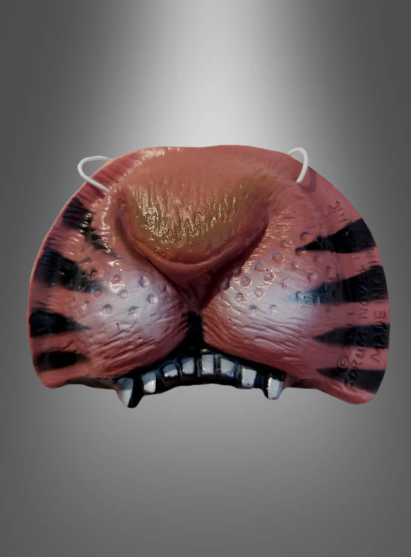 Tigernase – Kunststoffmaske in Form einer Tigernase und eines Tigermauls mit schwarzen Streifen, weißen Zähnen und Gummibändern; ideal für Wildkatzen-Kostüme oder als Accessoire für ein Dschungel-Tiger-Kostüm, abgebildet vor einem grauen Hintergrund mit Farbverlauf.