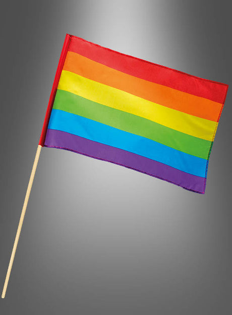 Die Regenbogenfahne 30 x 45 cm „Pride CSD“ mit sechs horizontalen Regenbogenstreifen, die an einem Holzstab befestigt ist, wird vor einem grauen Hintergrund mit Farbverlauf abgebildet.