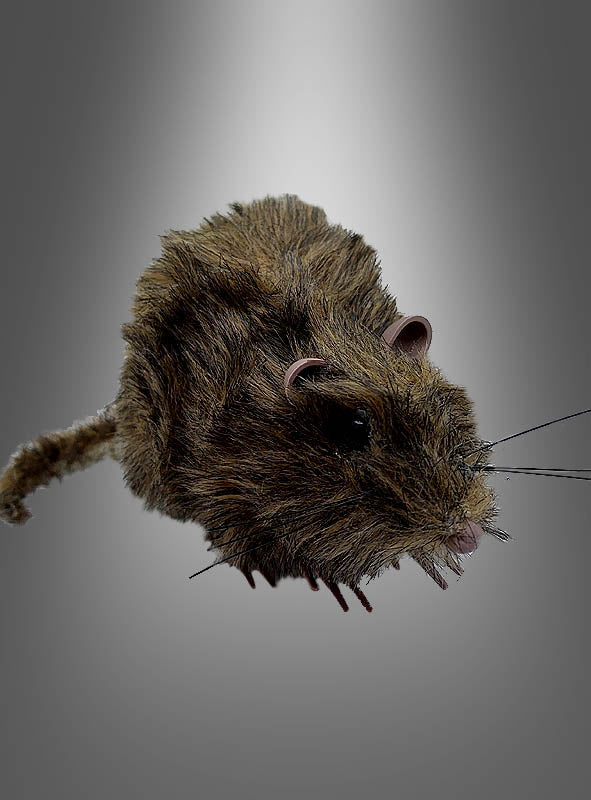 Eine pelzige, lebensechte Ratte (15 cm) – eine braune, pelzige Spielzeugmaus mit schwarzen Augen, rosa Ohren und sichtbaren Schnurrhaaren – ist vor einem grauen Hintergrund mit Farbverlauf abgebildet – perfekt als gruselige Deko oder als Teil Ihrer Halloween-Dekoration.