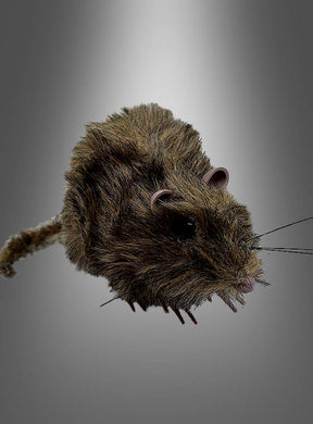 Eine pelzige, lebensechte Ratte (15 cm) – eine braune, pelzige Spielzeugmaus mit schwarzen Augen, rosa Ohren und sichtbaren Schnurrhaaren – ist vor einem grauen Hintergrund mit Farbverlauf abgebildet – perfekt als gruselige Deko oder als Teil Ihrer Halloween-Dekoration.