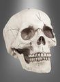 Der 15 x 20 cm große Totenkopf mit beweglichem Kiefer wird vor einem grau verlaufenden Hintergrund präsentiert, wodurch seine detaillierte Knochenstruktur und die sichtbaren Risse besonders gut zur Geltung kommen. Diese realistische Totenkopf-Dekoration eignet sich perfekt als Dekoration für Halloween-Partys und verleiht jeder gruseligen Feier einen authentischen Touch.