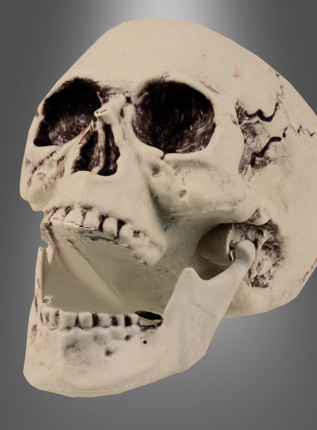 Der 15 x 20 cm große Totenkopf mit beweglichem Kiefer wird vor einem schlichten grauen Hintergrund präsentiert – die perfekte Halloween-Partydekoration oder Totenkopf-Dekoration für eine gruselige Atmosphäre.