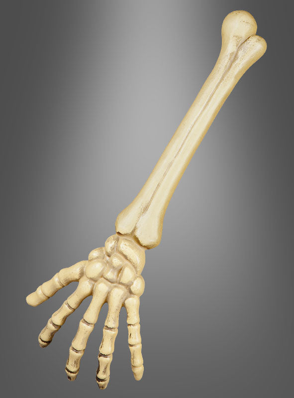 Ein „Skelettarm 46 cm“ – Deko oder Rückenkratzer aus Kunststoff, mit einem Unterarmdesign mit ausgestreckten Fingern, ideal als Gruseldeko, dargestellt vor einem einfarbigen grauen Hintergrund mit Farbverlauf.