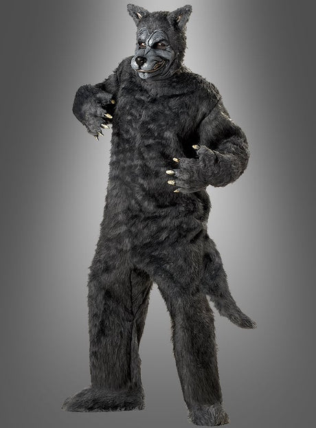 Eine Person trägt das „Böser Wolf“-Kostüm für Herren, ein graues, pelziges Ganzkörperkostüm mit Krallenhänden, einem Schwanz und einer Wolfsmaske, und steht vor einem einfarbigen Hintergrund mit Farbverlauf.
