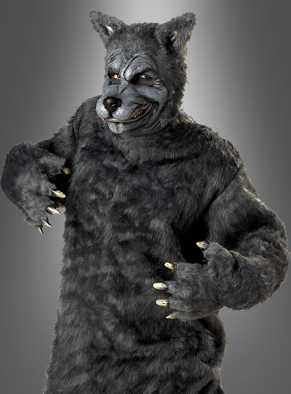 Eine Person trägt das „Böser Wolf“-Kostüm für Herren, das aus grauem Fell, Krallen und einer detailreichen Maske besteht, und posiert mit erhobenen Händen vor einem einfarbigen grauen Hintergrund.