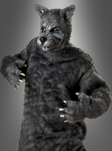 Eine Person trägt das „Böser Wolf“-Kostüm für Herren, das aus grauem Fell, Krallen und einer detailreichen Maske besteht, und posiert mit erhobenen Händen vor einem einfarbigen grauen Hintergrund.