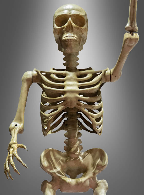 Gigantisches Skelett Big Bone 335cm
