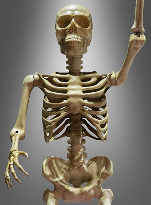 Gigantisches Skelett Big Bone 335cm