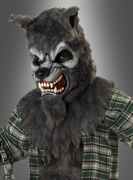 Eine Person, die das „Kinder-Werwolf-Kostüm für Halloween“ trägt – bestehend aus einer grauen Werwolfmaske, einem Kostüm mit Kunstfell und einem karierten Hemd –, zeigt vor einem schlichten grauen Hintergrund mit bedrohlichem Gesichtsausdruck ihre scharfen Zähne – perfekt für Kinder, die sich einen gruseligen Halloween-Look wünschen.