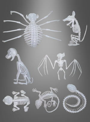 Neun kleine weiße Skeletttiere aus Kunststoff – darunter eine Spinne, eine Ratte, ein Affe, eine Fledermaus, ein Chamäleon, eine Schlange und andere – sind auf einem grau abgestuften Hintergrund angeordnet. Diese im Dunkeln leuchtenden Figuren eignen sich perfekt, um Tag und Nacht eine gruselige Halloween-Atmosphäre zu schaffen.