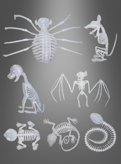 Neun kleine weiße Skeletttiere aus Kunststoff – darunter eine Spinne, eine Ratte, ein Affe, eine Fledermaus, ein Chamäleon, eine Schlange und andere – sind auf einem grau abgestuften Hintergrund angeordnet. Diese im Dunkeln leuchtenden Figuren eignen sich perfekt, um Tag und Nacht eine gruselige Halloween-Atmosphäre zu schaffen.