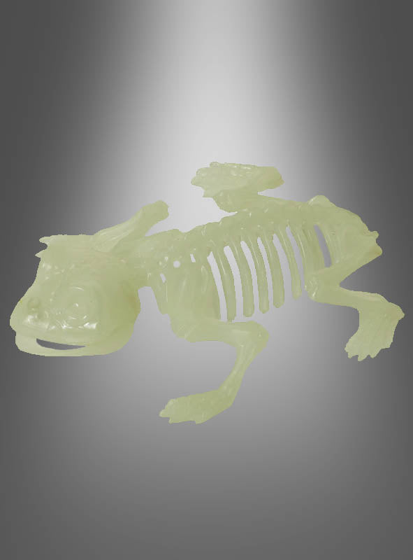 Leuchtendes Froschskelettmodell aus Kunststoff, ideal für die Halloween-Dekoration „Skeletttiere“ mit Nachtleuchteffekt, präsentiert vor einem grau abgestuften Hintergrund. Dieses im Dunkeln leuchtende Froschskelett verleiht jeder gruseligen Kulisse eine unheimliche Note.