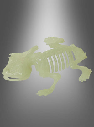 Leuchtendes Froschskelettmodell aus Kunststoff, ideal für die Halloween-Dekoration „Skeletttiere“ mit Nachtleuchteffekt, präsentiert vor einem grau abgestuften Hintergrund. Dieses im Dunkeln leuchtende Froschskelett verleiht jeder gruseligen Kulisse eine unheimliche Note.