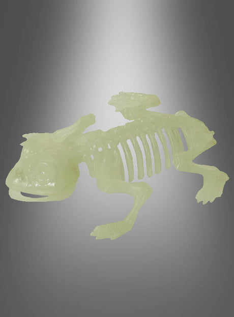 Leuchtendes Froschskelettmodell aus Kunststoff, ideal für die Halloween-Dekoration „Skeletttiere“ mit Nachtleuchteffekt, präsentiert vor einem grau abgestuften Hintergrund. Dieses im Dunkeln leuchtende Froschskelett verleiht jeder gruseligen Kulisse eine unheimliche Note.