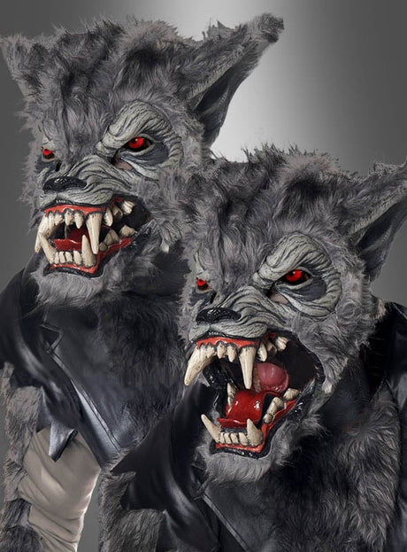 Zwei Personen, die das Werwolf-Kostüm für Erwachsene tragen – mit realistischen grauen Werwolfmasken mit scharfen Zähnen, roten Augen und schwarzem Kunstfell –, posieren vor einem neutralen Hintergrund, wodurch sich das Kostüm perfekt für jede Horrorfilm-Kostümparty oder Themenfeier eignet.