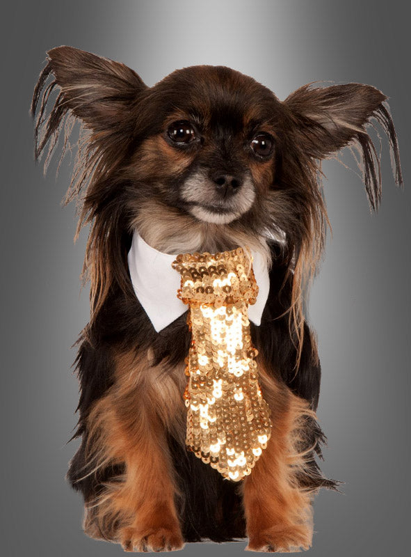 Kleiner langhaariger Hund, der einen weißen Hundehalsband mit goldener Krawatte für Tiere trägt, die mit funkelnden goldenen Pailletten verziert ist, vor einem grauen Hintergrund mit Farbverlauf. Diese bezaubernde goldene Krawatte für Tiere verleiht dem Look Ihres Hundes einen festlichen Touch.