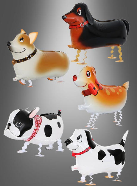 Fünf Ballontiere in Form verschiedener Hunderassen, darunter ein bunter „Hunde Airwalker“-Folienballon, schweben aufrecht vor einem grau abgestuften Hintergrund – perfekt für eine Folienballon-Party oder als verspielte Hund-Luftballon-Dekoration.