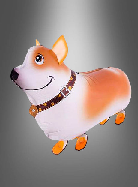 Ein Hunde Airwalker-Folienballon in Form eines Corgis, komplett mit braunem Halsband und Gesichtsmerkmalen im Cartoon-Stil, vor einem grauen Hintergrund mit Farbverlauf. Dieser entzückende Ballon ist ideal für jede Folienballon-Party und verleiht Ihrer Feier einen verspielten Charme.