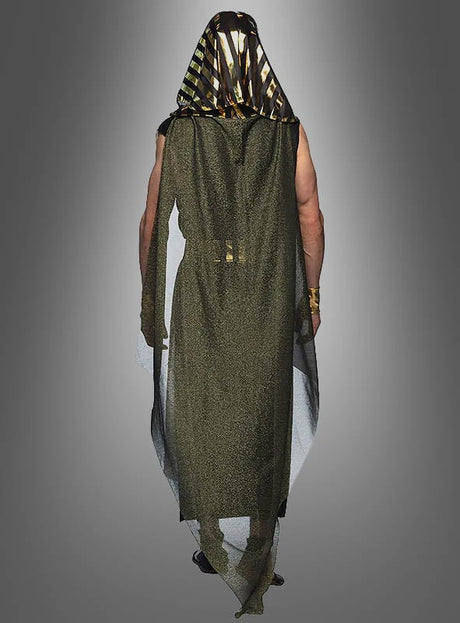 Eine Person, die das Pharao-Anubis-Kostüm für Herren trägt – ein gold-schwarz gestreiftes, ärmelloses Kapuzenumhang mit goldenen Armbändern –, von hinten vor einem grauen Hintergrund mit Farbverlauf, ideal für einen ägyptischen Herren-Look oder als Teil eines auffälligen Anubis-Kostüms.