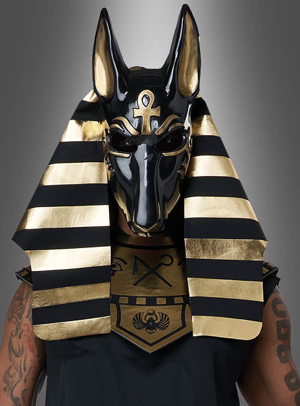 Eine Person, die das „Ägyptischer Gott Anubis Deluxe“-Kostüm trägt – einschließlich einer schwarz-goldenen Maske und eines mit ägyptischen Symbolen verzierten Kopfschmucks –, verkörpert vor einem grauen Hintergrund mit Farbverlauf die geheimnisvolle Aura des Gottes der Toten.
