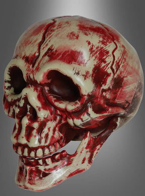 Der „Blutige Totenschädel“ – ein mit blutroten Streifen bemalter Plastikschädel – ist ein auffälliges Halloween-Dekorationselement, besonders wenn er vor einem grauen Hintergrund mit Farbverlauf präsentiert wird.