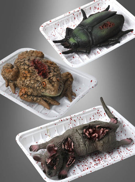 Drei Tierfiguren aus Kunststoff – ein Käfer, eine Kröte und eine Ratte –, die jeweils mit künstlichen Wunden versehen sind, werden als „Blutige Zombie-Tiere – Halloween-Tischdekoration“ auf blutbespritzten Styropor-Tabletts vor grauem Hintergrund präsentiert und bilden so eine auffällige Halloween-Tischdekoration.