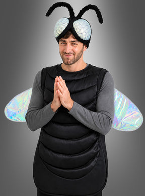Eine Person steht vor einem grauen Hintergrund mit Farbverlauf und trägt das Fliegenkostüm „lästige Mücke“ mit schillernden Flügeln, großen Stoffaugen und schwarzen Fühlern.