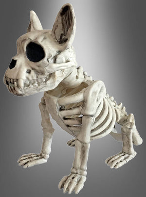 Die „Skelett-Hund“-Halloween-Dekoration mit ihrem großen Kopf und den übertriebenen Gesichtszügen ist auf allen vieren vor einem grauen Hintergrund mit Farbverlauf dargestellt – und ist damit ein echter Blickfang in Ihrer Halloween-Dekoration.