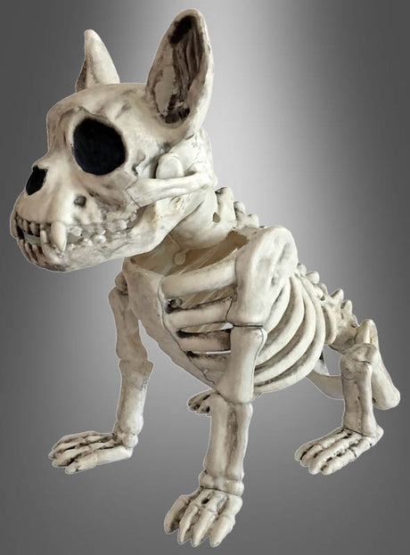 Die „Skelett-Hund“-Halloween-Dekoration mit ihrem großen Kopf und den übertriebenen Gesichtszügen ist auf allen vieren vor einem grauen Hintergrund mit Farbverlauf dargestellt – und ist damit ein echter Blickfang in Ihrer Halloween-Dekoration.