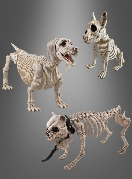 Drei „Skelett Hund“-Halloween-Dekorationselemente sind vor einem grauen Hintergrund zu sehen; jedes davon ist mit überzeichneten Totenköpfen und knochigen Körpern verziert.