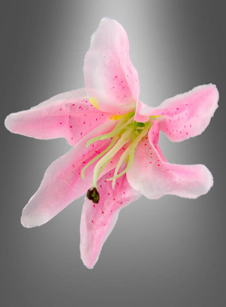 Ein Set aus sechs künstlichen Lilienblüten, jeweils 13 cm groß, mit rosa Blütenblättern und sichtbaren Staubblättern, arrangiert vor einem glatten grauen Hintergrund mit Farbverlauf – ideal als Lilienblüten für eine elegante Hawaii-Party-Dekoration oder als Ergänzung zu stilvollen Arrangements mit künstlichen Orchideen.