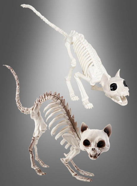 Zwei stilisierte „Halloween Skelett Katze“-Modelle mit überzeichneten Gesichtszügen sind diagonal auf einem grauen Hintergrund mit Farbverlauf angeordnet und eignen sich somit perfekt als Halloween-Dekoration für jede gruselige Feier.
